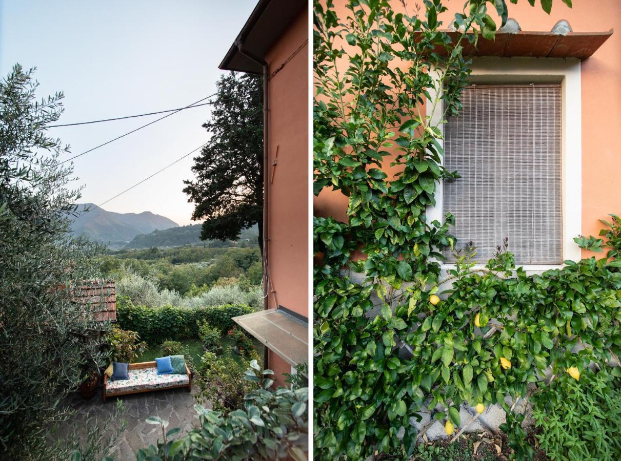 Casetta Di Butia, Appartamento Iris Lucca Exterior foto