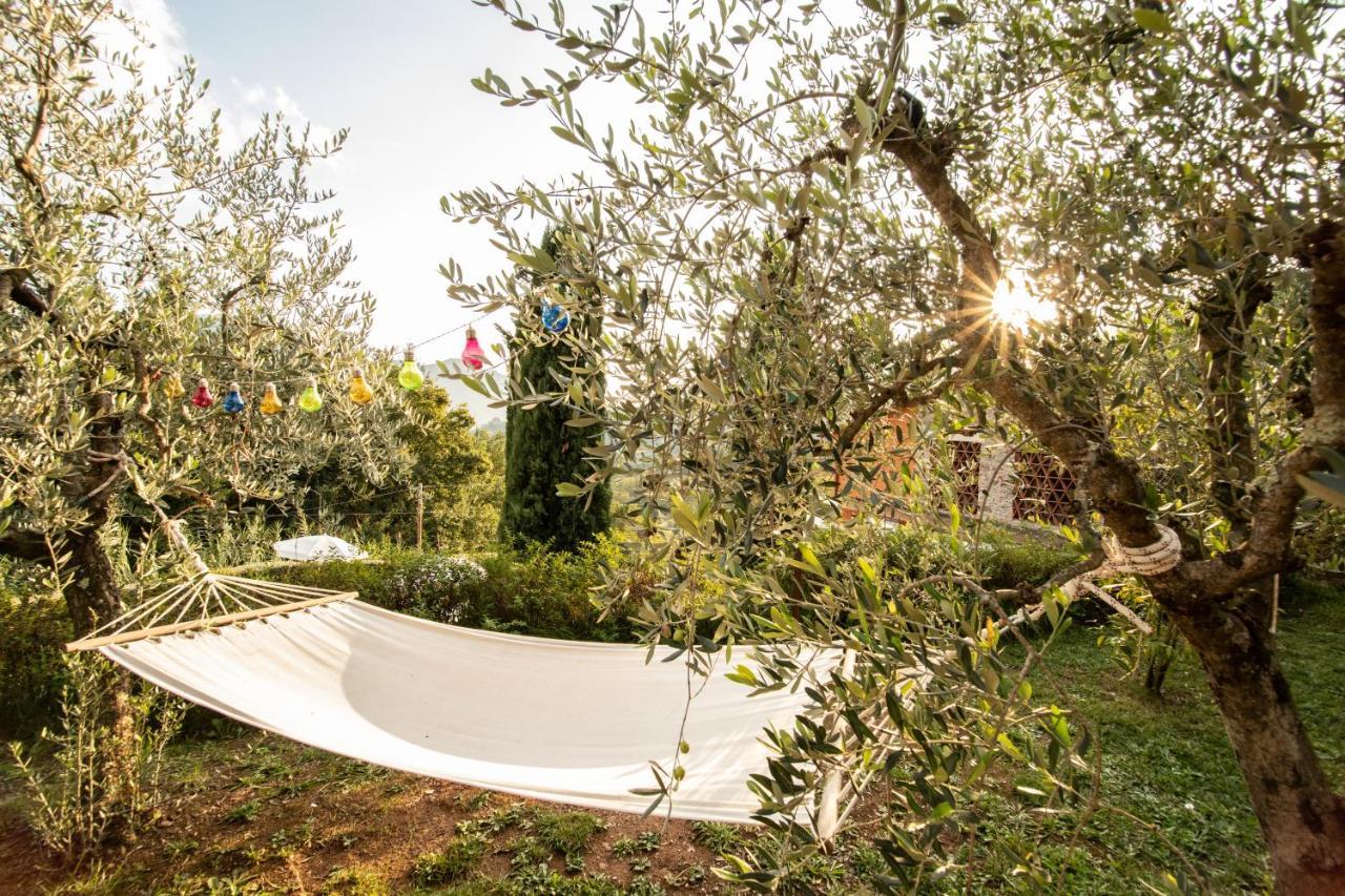 Casetta Di Butia, Appartamento Iris Lucca Exterior foto